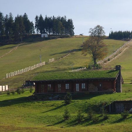 Sruby Haida Ceske Petrovice 外观 照片